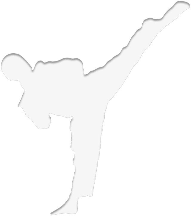 Silhouette of a person doing a high kick